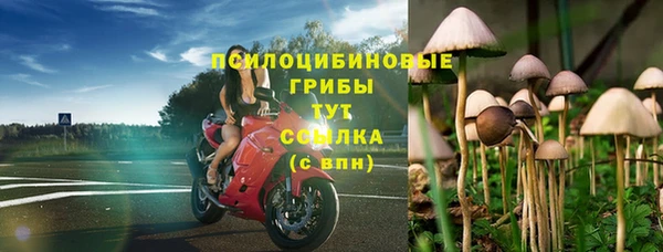 MESCALINE Новозыбков