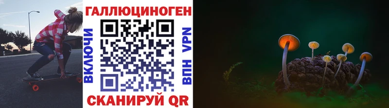 Галлюциногенные грибы прущие грибы  как найти   Инсар 
